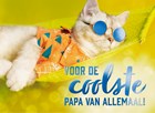Relaxte kat met zonnebril in hangmat